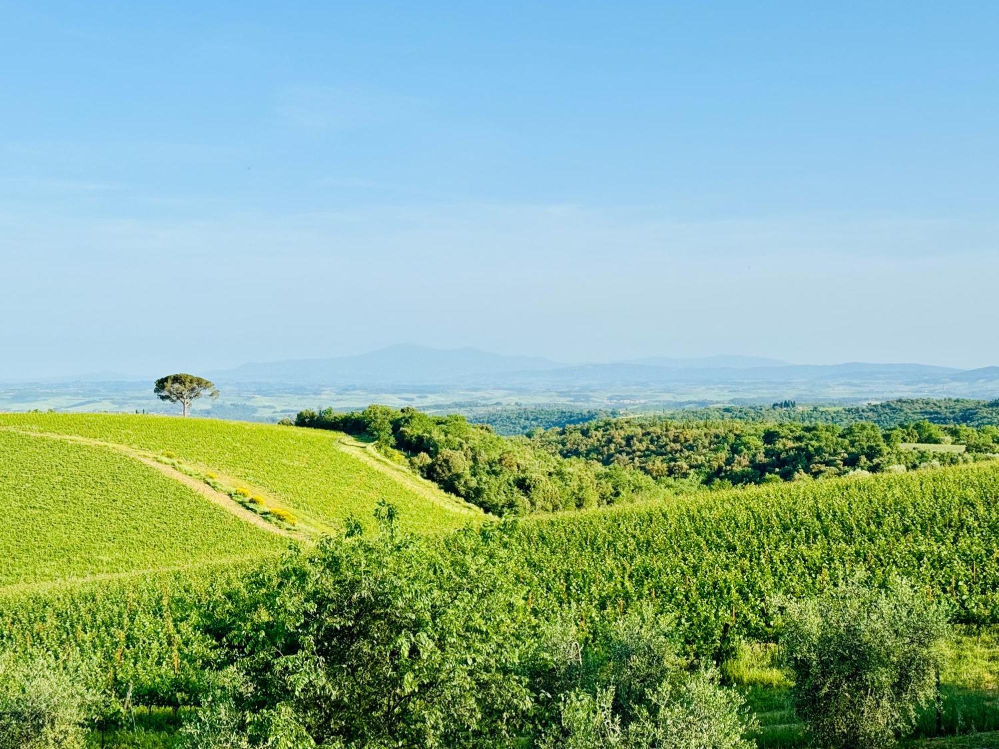 Libertas Tuscan Hideaway San Sano Exterior photo