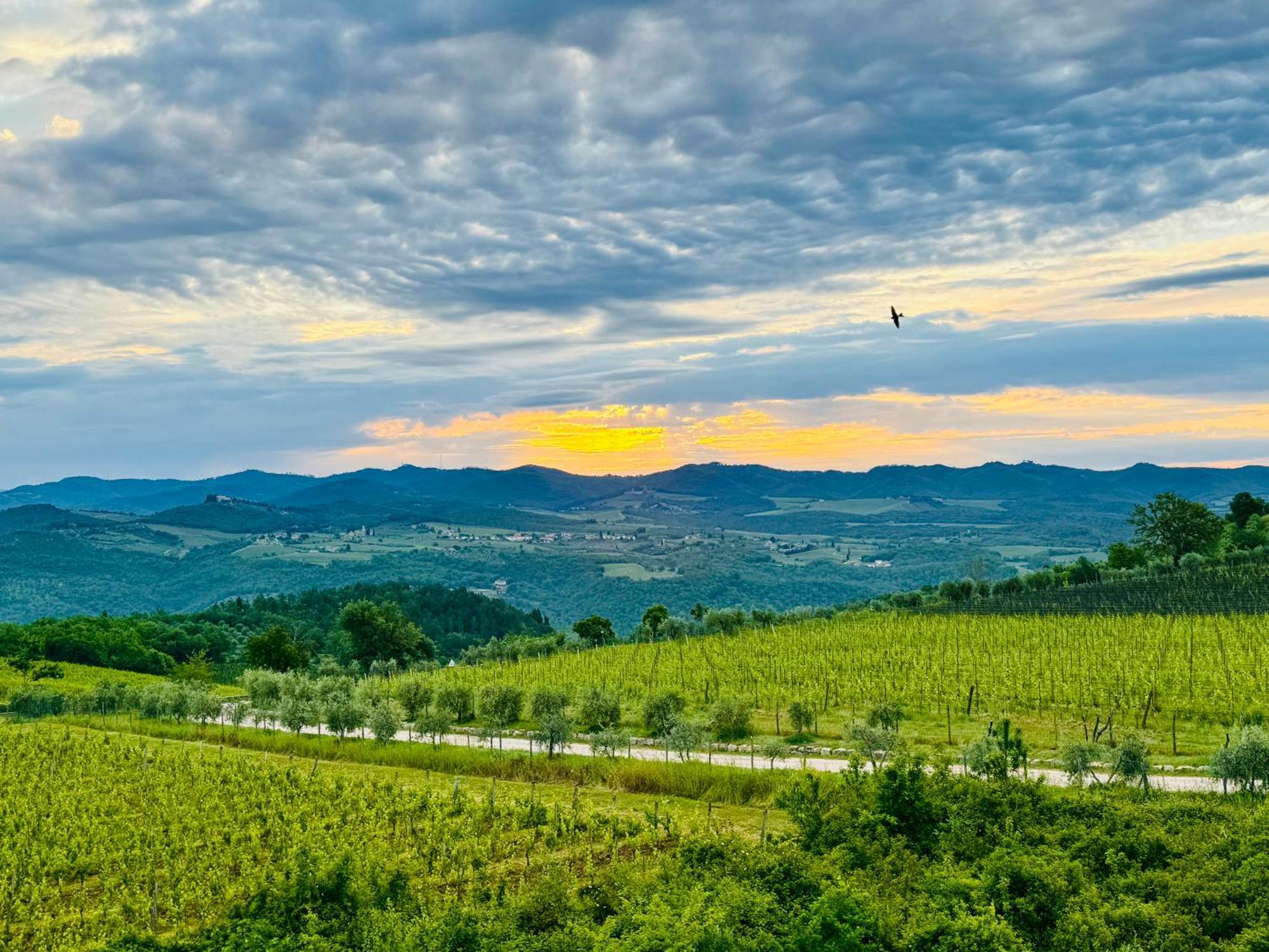 Libertas Tuscan Hideaway San Sano Exterior photo